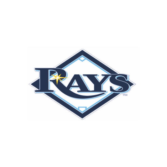 Rays Incorporadora